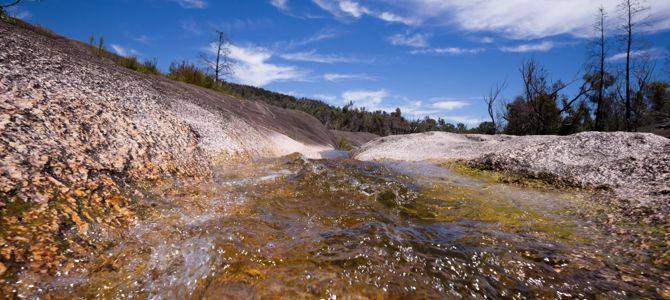 Environmental Sample Analysis Environmental Sample Analysis